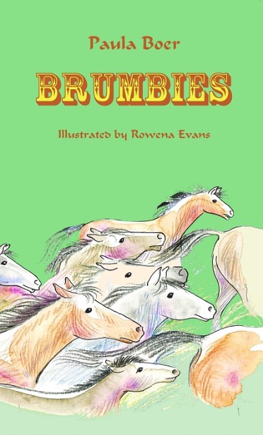 Brumbies cover